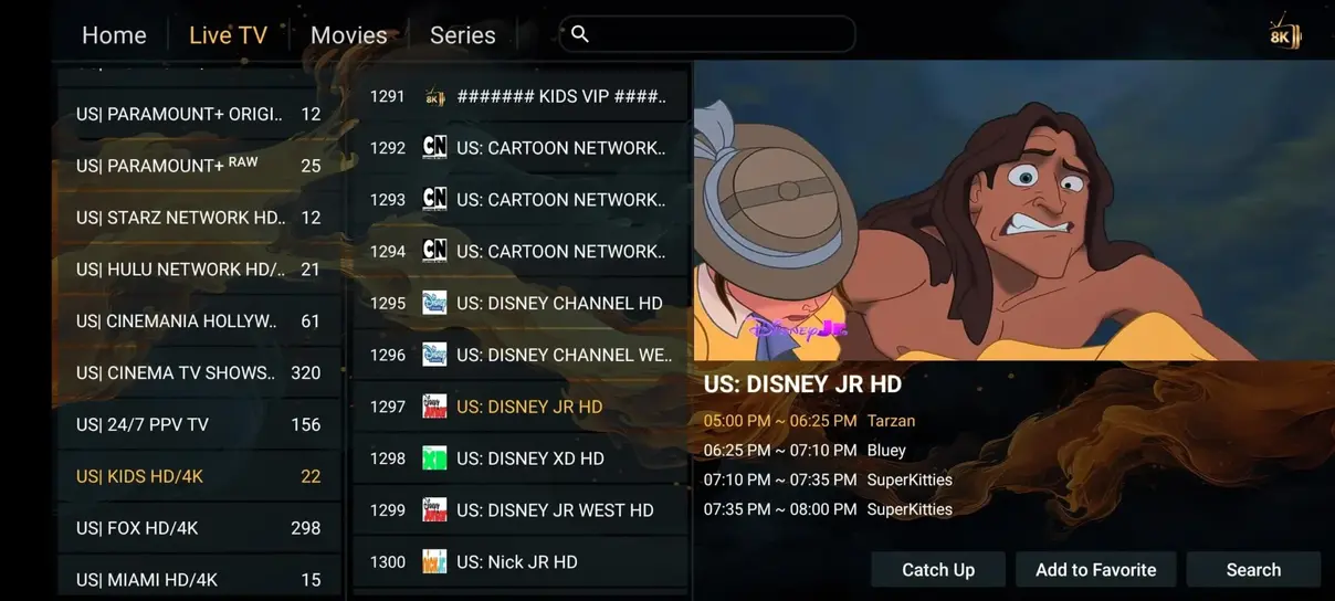 IPTV app interface preview 2